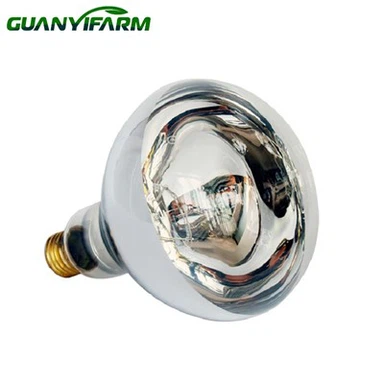 BR40 Infrared Bulb