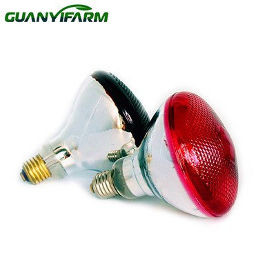 Інфрачервона лампочка