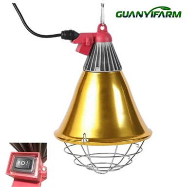 Золотий абажур для свиноферми