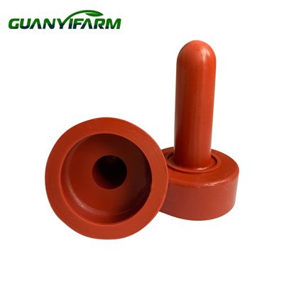 Ягня, що годує сосок